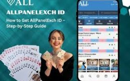 All Panel Exchange ID Provider 2026: Who's the Best?