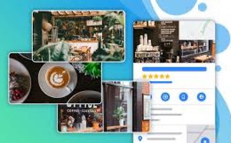 Photos Professionnelles Google Business : Un Atout Essentiel pour Analyser les Performances de Votre Fiche Google