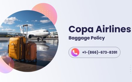 How to Organize Your Travel Based on Copa Baggage Rules