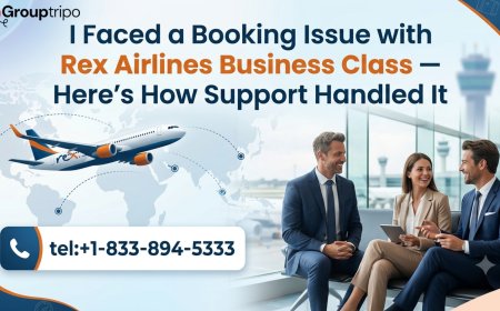 I Faced a Booking Issue with Rex Airlines Business Class — Here’s How Support Handled It