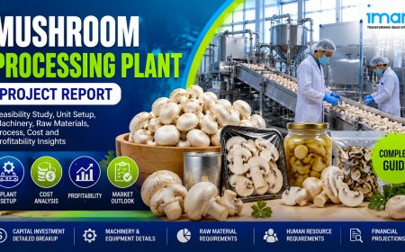 Mushroom Processing Plant Setup 2026: Cost Breakdown, Machinery & Business Opportunity