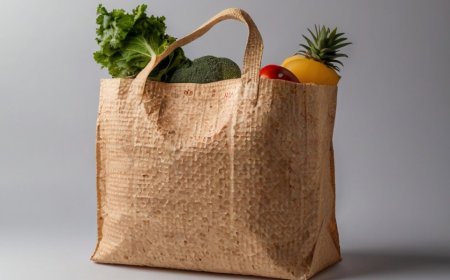 Grocery Shopping Bag (Using Biodegradable Granules) Manufacturing Plant Feasibility & Business Plan: Cost and Revenue