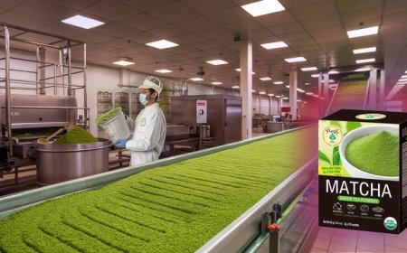 How to Set Up a Matcha Green Tea Powder Manufacturing Plant: Machinery Requirements and Cost Analysis