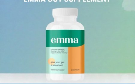 Healthy Gut Supplements To Support Daily Digestive Health