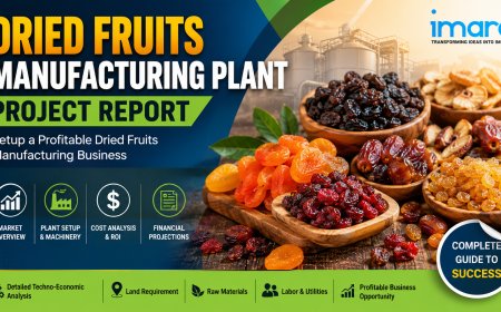 Dried Fruits Manufacturing Plant Setup Report 2026: Detailed CapEx & OpEx Insights for Investors