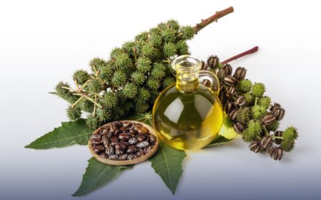 Hydrogenated Castor Oil Manufacturing Plant Setup Cost & Investment Overview