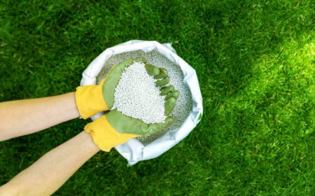 Your Lawn Is Starving — 7 Signs You Need Professional Lawn Fertilization Services Now