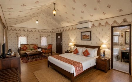 Rann of Kutch Packages Decoded: What to Book, What to Skip, and Why Dhordo Is Worth the Drive