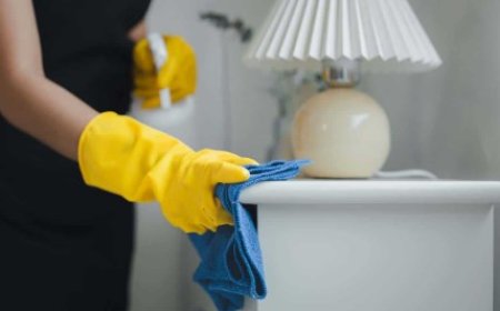 Professional Move-Out Cleaning Services
