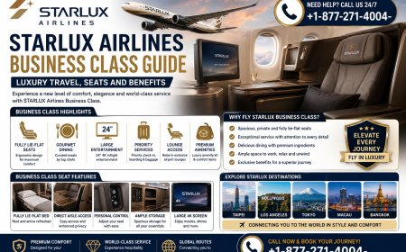 STARLUX Airlines Business Class 2026 Guide: Luxury Travel, Seats and Benefits