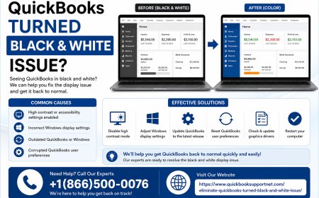 QuickBooks Display Issues: How to Fix QuickBooks Screen Turns Black and White