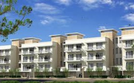 DLF Pinjore Panchkula: A Smart Investment for Future Growth