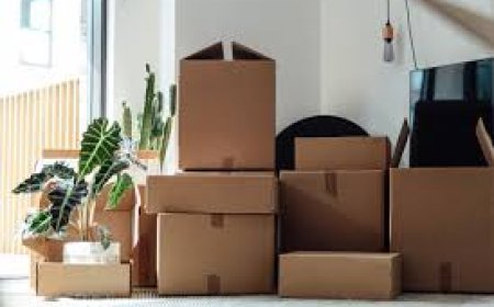How Custom Printed Cardboard Boxes Boost Brand Visibility