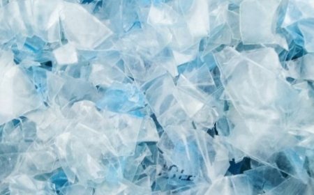 rPET Price Trend: Understanding the Market Movement in Q1 2026