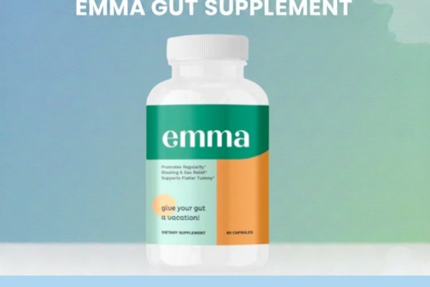 Healthy Gut Supplements To Support Daily Digestive Health
