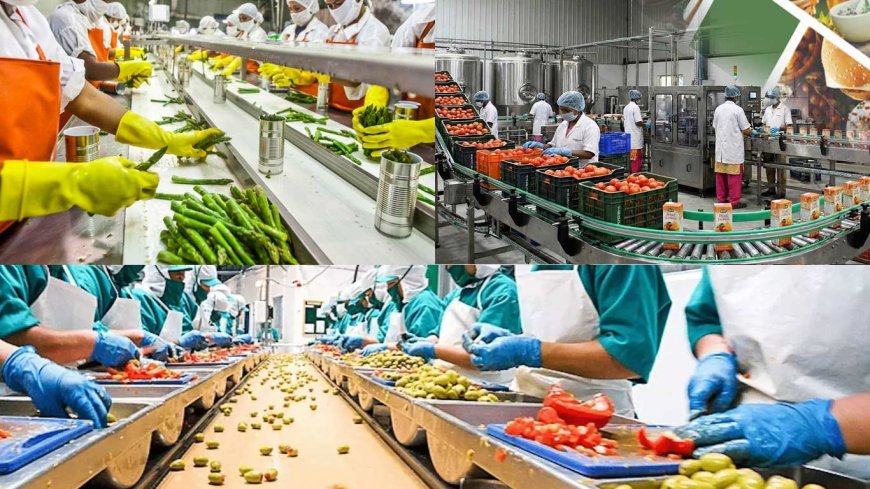 Food Processing Plant Feasibility Report: Setup Cost & Economic Analysis