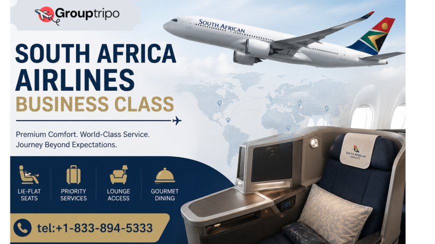 South Africa Airlines Business Class Booking Tips: How Travelers Are Saving Money in 2026
