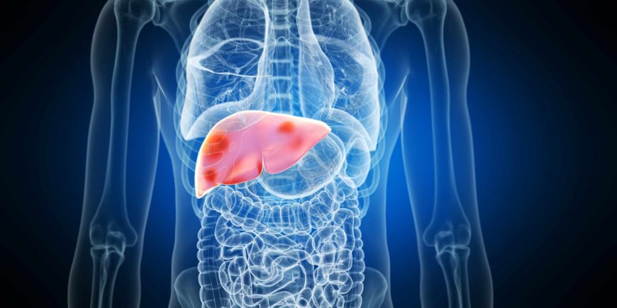 Fatty Liver Treatment in Dubai: Improve Liver Function