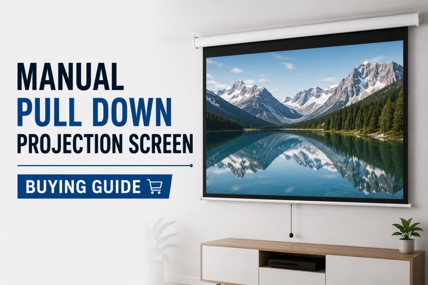 Manual Pull Down Projection Screen Buying Guide