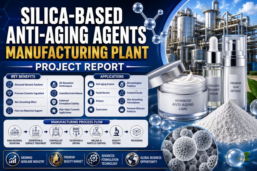 Silica-Based Anti-Aging Agents Manufacturing Plant Feasibility Report 2026: Investment, Raw Materials & Profitability