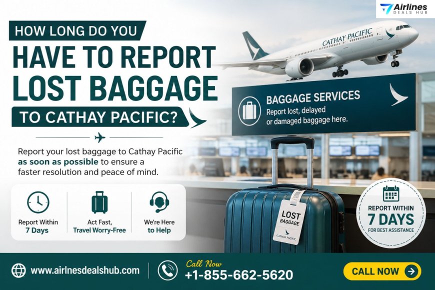 How to Report Lost Baggage to Cathay Pacific Step-by-Step Guide