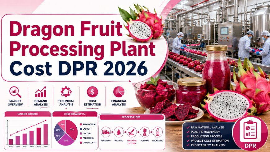 Setting up a Dragon Fruit Processing Plant 2026: Detail Project Report, Cost and Revenue