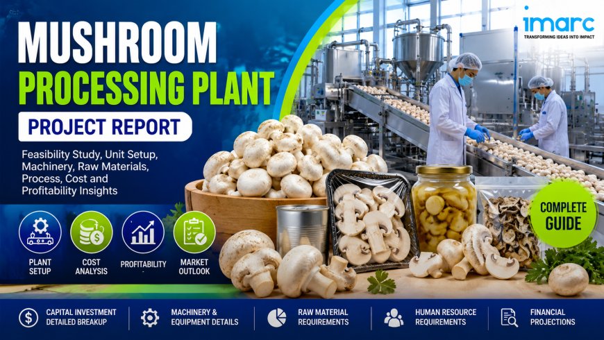 Mushroom Processing Plant Setup 2026: Cost Breakdown, Machinery & Business Opportunity