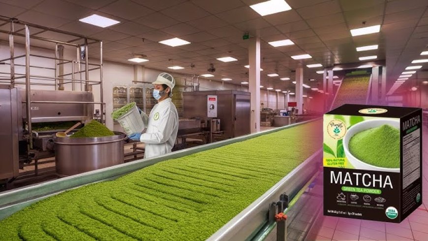 How to Set Up a Matcha Green Tea Powder Manufacturing Plant: Machinery Requirements and Cost Analysis