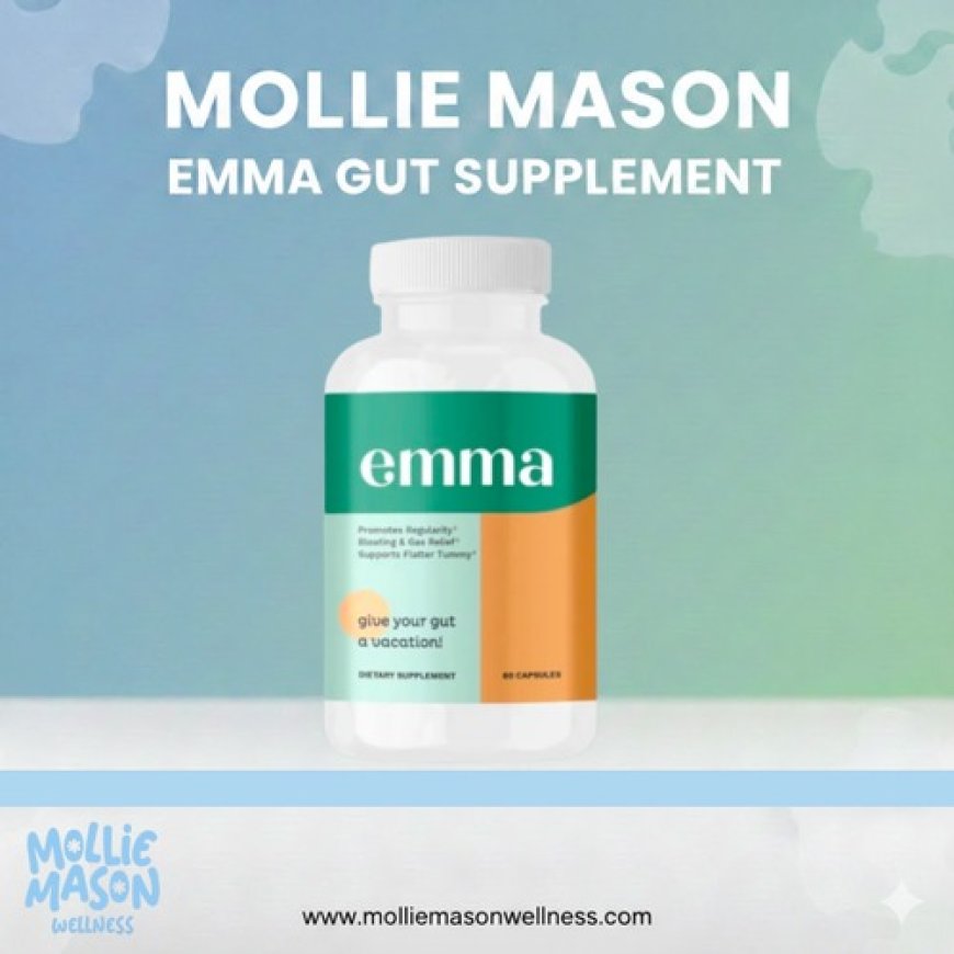 Healthy Gut Supplements To Support Daily Digestive Health