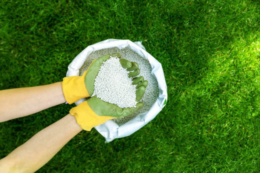 Your Lawn Is Starving — 7 Signs You Need Professional Lawn Fertilization Services Now
