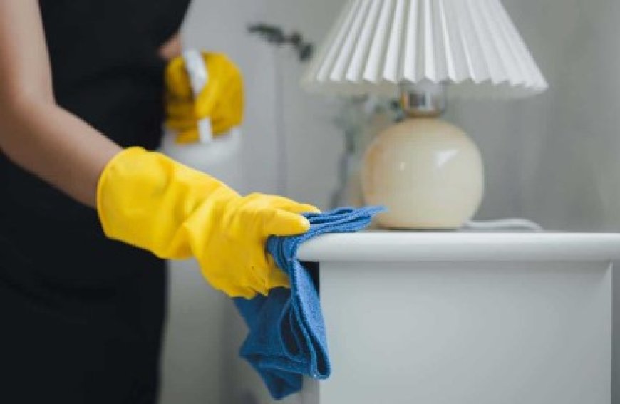 Professional Move-Out Cleaning Services