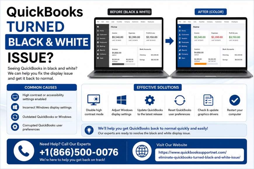 QuickBooks Display Issues: How to Fix QuickBooks Screen Turns Black and White