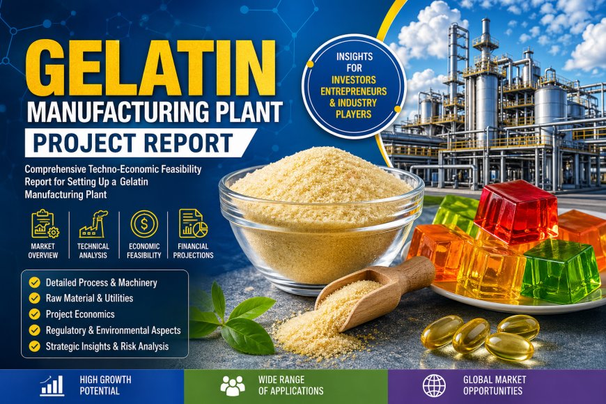 Gelatin Manufacturing Plant Feasibility Report 2026 | Detailed Cost & Revenue Forecast