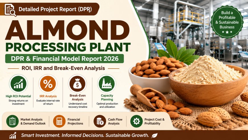 Almond Processing Plant DPR and Financial Model Report: ROI, IRR and Break-Even Analysis 2026