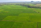 Why Buying Land at KNS Samooha Can Benefit Long-Term Investors