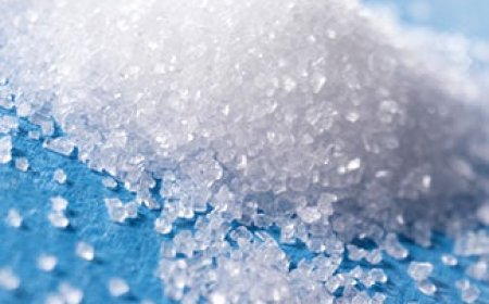 Polyol Price Trend in Q1 2026: Rising Demand and Higher Costs Support the Market