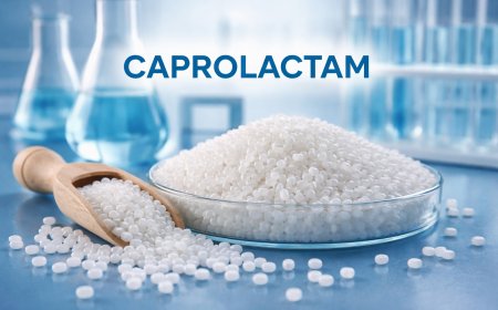 Caprolactam Price Trend: A Simple Guide to Market Changes, Prices, and Industry Outlook