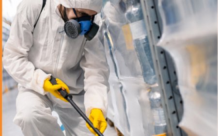 The Complete Guide to Keeping Your Melbourne Property Free from Rats, Possums and Common Pests