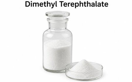DMT Price Trend: Market Movement, Demand, and Key Factors in Q1 2026