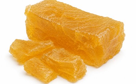 Natural Rubber Price Trend: Market Overview, Demand, and Pricing Outlook in Q1 2026