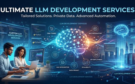 Custom LLM Development Services: What the Process Actually Looks Like