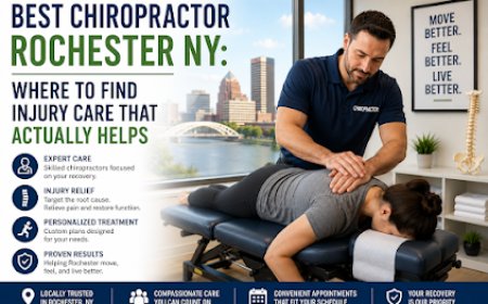 Best Chiropractor Rochester NY for Personalized Pain Relief and Recovery