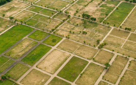 Why Investors Are Choosing Skymarx Plots Kharkhoda Over Other Projects