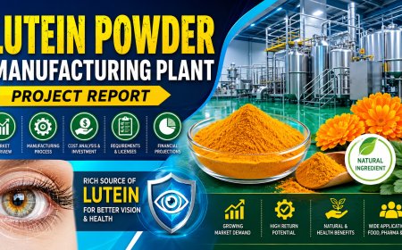 Lutein Powder (From Marigold Flowers) Manufacturing Cost 2026: Raw Materials, Revenue & Profitability