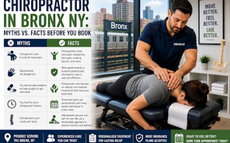 Chiropractor in Bronx, NY | Personalized Pain Relief & Spinal Health Care
