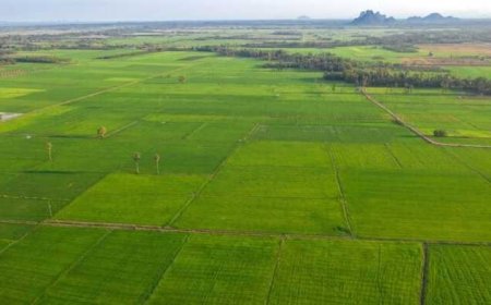 Why Buying Land at KNS Samooha Can Benefit Long-Term Investors