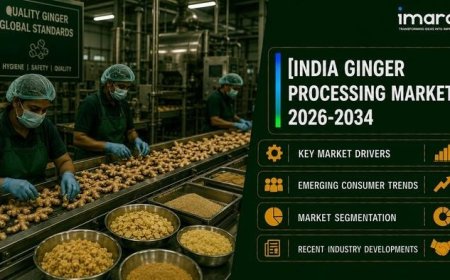 India Ginger Processing Market 2026-2034: Size, Share, Industry Growth and Analysis Report