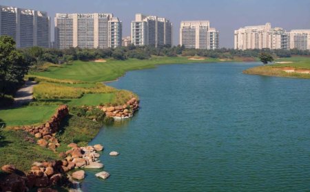 How DLF The Camellias Was Designed for India’s Elite