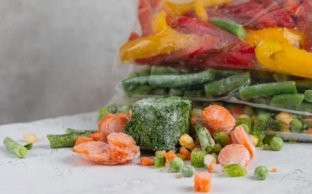 Frozen Vegetable Processing Plant Cost 2026: Comprehensive Project Report, Feasibility Study and Industry Outlook