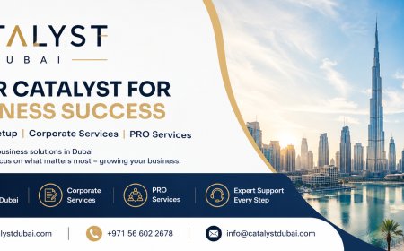 A Practical Guide to Business Compliance and Support Services in Dubai